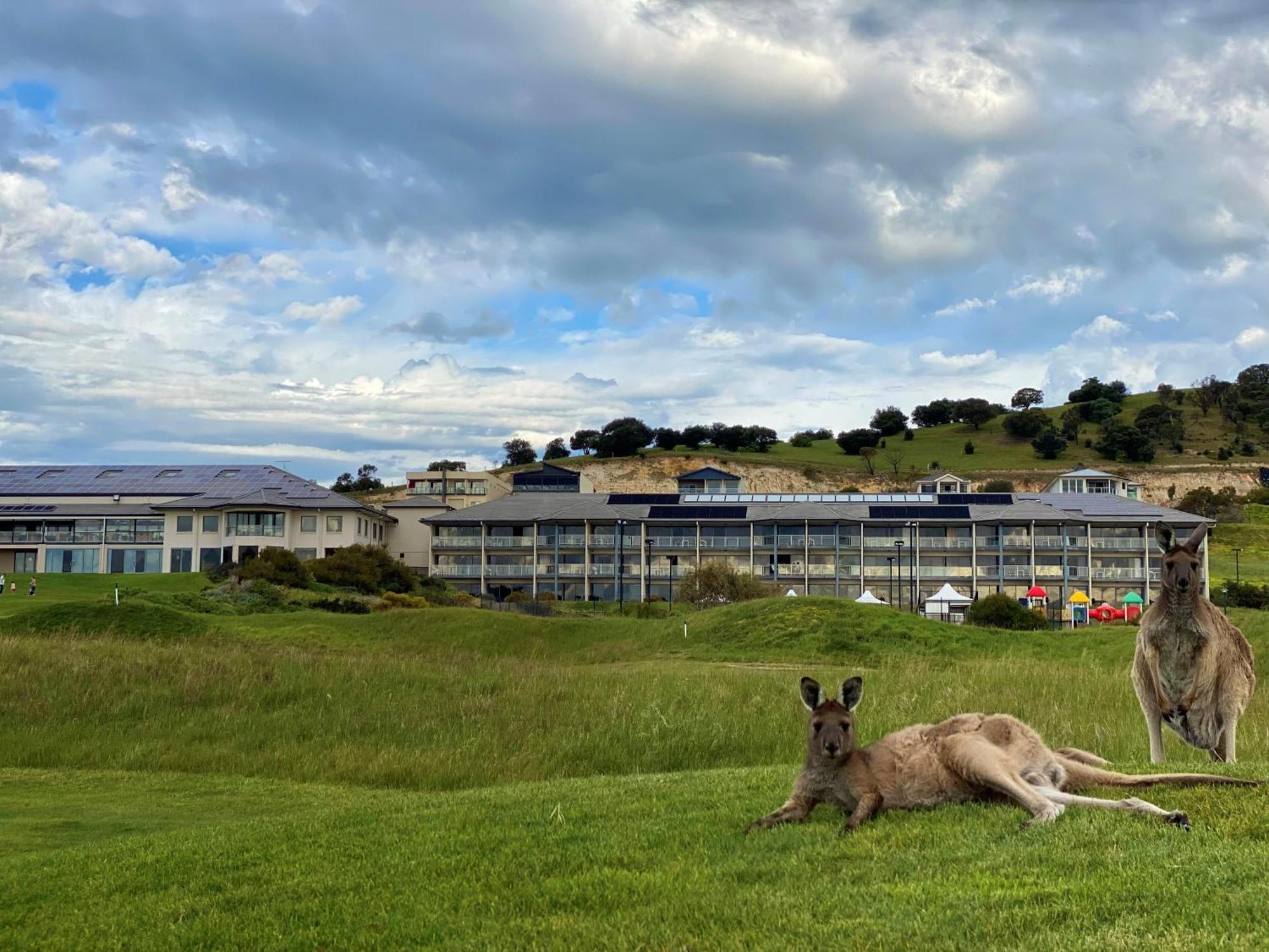 Lady Bay Resort